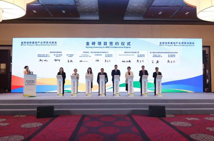 今天六合彩结果