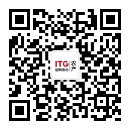 今天六合彩结果