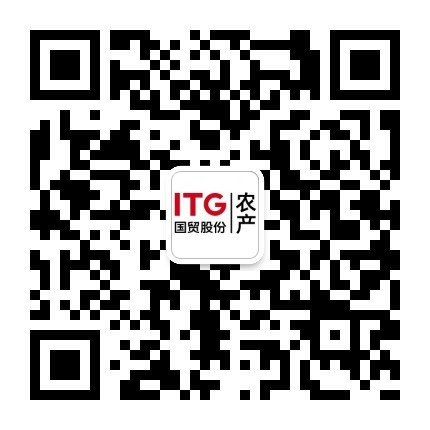 今天六合彩结果